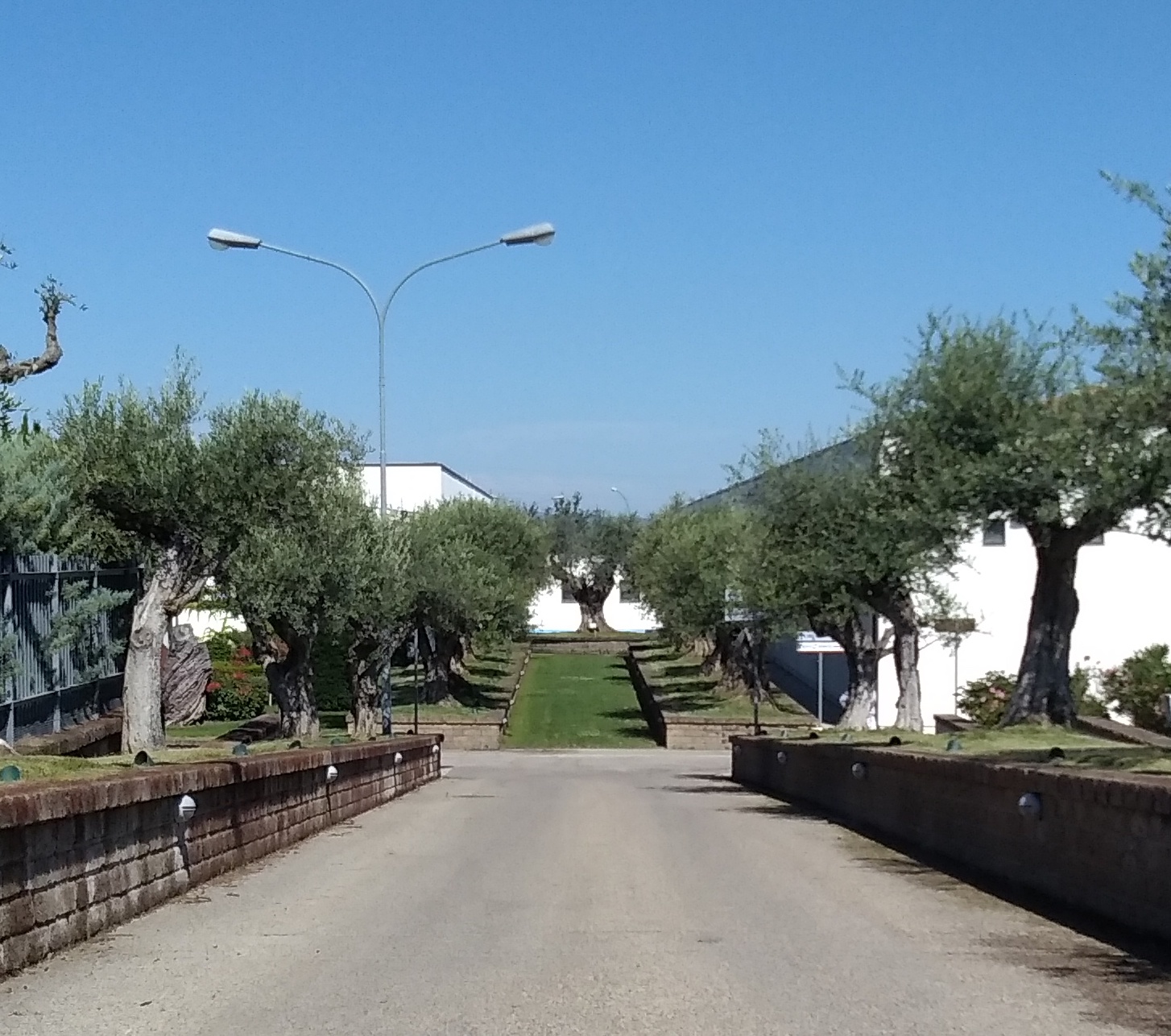 Biogem ospita corso di formazione sulla nefrologia delle malattie rare